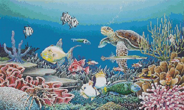 Коралл для аквариума Морской желудь купить в магазине Долина Аквариумов